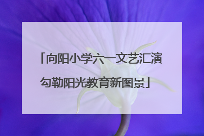 向阳小学六一文艺汇演勾勒阳光教育新图景