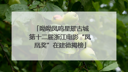 呦呦凤鸣星耀古城 第十二届浙江电影“凤凰奖”在建德揭榜