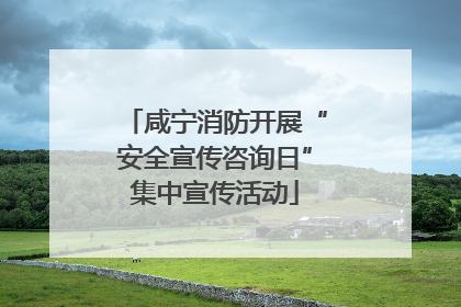 咸宁消防开展“安全宣传咨询日”集中宣传活动