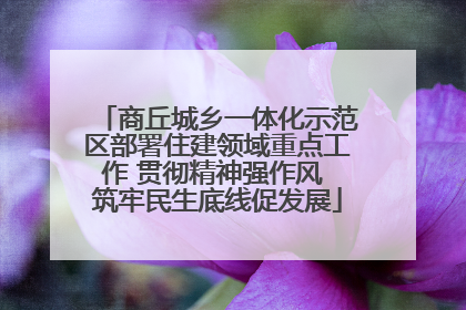 商丘城乡一体化示范区部署住建领域重点工作 贯彻精神强作风 筑牢民生底线促发展