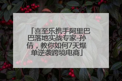 喜至乐携手阿里巴巴落地实战专家-孙倩，教你如何7天爆单逆袭跨境电商
