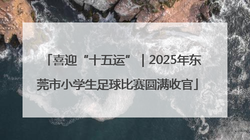 喜迎“十五运”｜2025年东莞市小学生足球比赛圆满收官