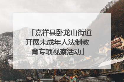 嘉祥县卧龙山街道开展未成年人法制教育专项视察活动