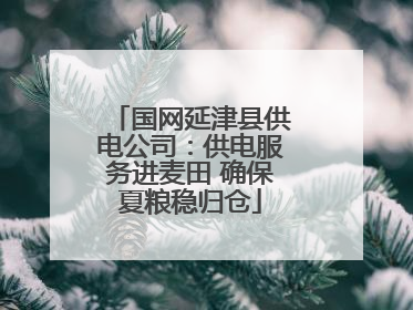 国网延津县供电公司：供电服务进麦田 确保夏粮稳归仓