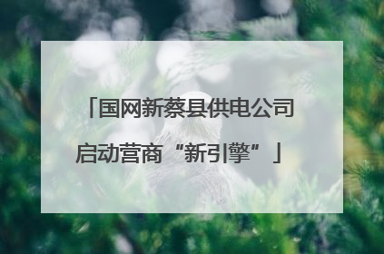 国网新蔡县供电公司启动营商“新引擎”