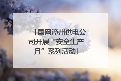 国网漳州供电公司开展“安全生产月”系列活动
