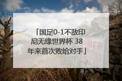国足0-1不敌印尼无缘世界杯 38年来首次败给对手