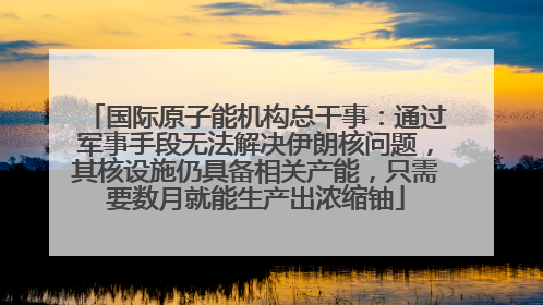国际原子能机构总干事：通过军事手段无法解决伊朗核问题，其核设施仍具备相关产能，只需要数月就能生产出浓缩铀