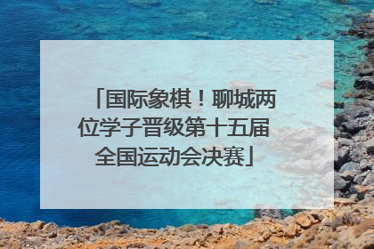 国际象棋！聊城两位学子晋级第十五届全国运动会决赛