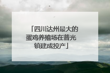 四川达州最大的蛋鸡养殖场在普光镇建成投产