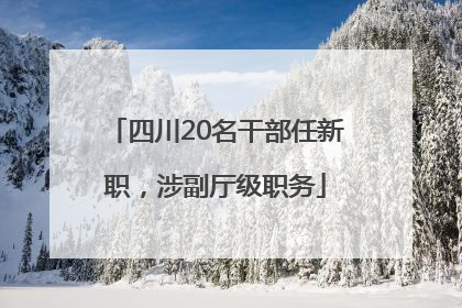 四川20名干部任新职，涉副厅级职务