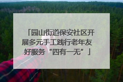 园山街道保安社区开展多元手工践行老年友好服务“四有一无”