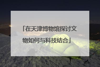 在天津博物馆探讨文物如何与科技结合