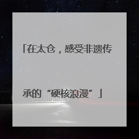 在太仓，感受非遗传承的“硬核浪漫”