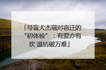 导盲犬杰瑞对宿迁的“初体验”：有爱亦有坎 温情破万难