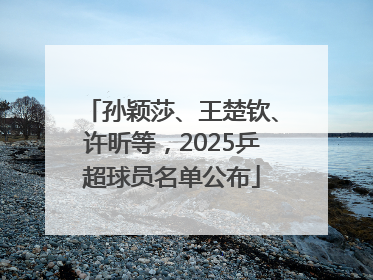 孙颖莎、王楚钦、许昕等，2025乒超球员名单公布