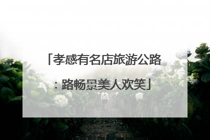 孝感有名店旅游公路：路畅景美人欢笑