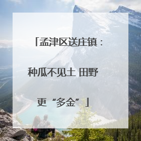 孟津区送庄镇：种瓜不见土 田野更“多金”