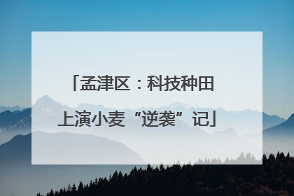 孟津区：科技种田 上演小麦“逆袭”记