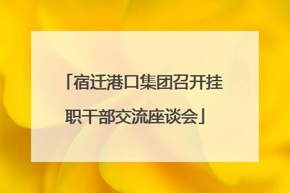 宿迁港口集团召开挂职干部交流座谈会