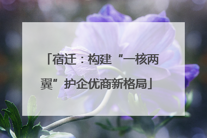 宿迁：构建“一核两翼”护企优商新格局