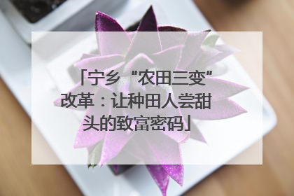 宁乡“农田三变”改革：让种田人尝甜头的致富密码