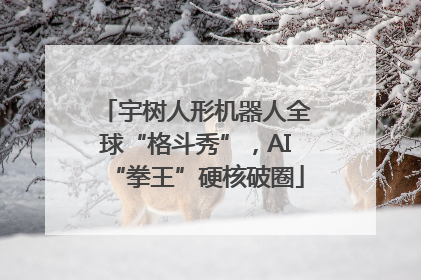宇树人形机器人全球“格斗秀”，AI“拳王”硬核破圈