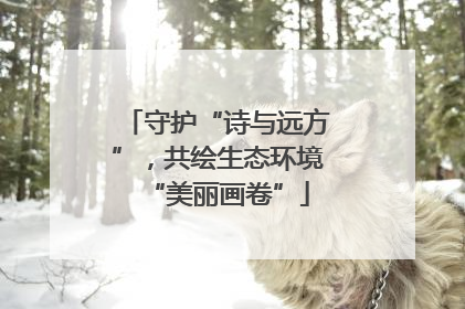 守护“诗与远方”，共绘生态环境“美丽画卷”