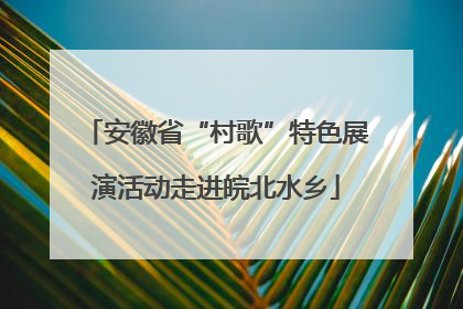 安徽省“村歌”特色展演活动走进皖北水乡