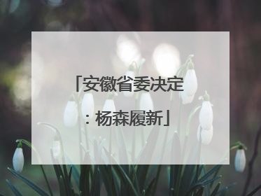 安徽省委决定：杨森履新