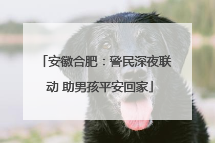 安徽合肥：警民深夜联动 助男孩平安回家
