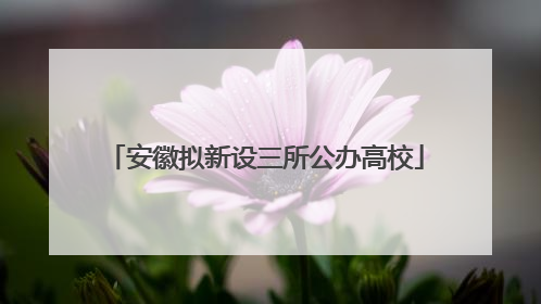 安徽拟新设三所公办高校