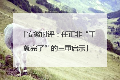 安徽时评：任正非“干就完了”的三重启示