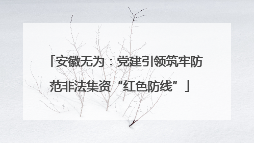 安徽无为：党建引领筑牢防范非法集资“红色防线”