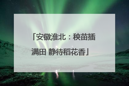 安徽淮北：秧苗插满田 静待稻花香