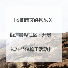 安阳市文峰区东关街道晨峰社区：开展端午节包粽子活动