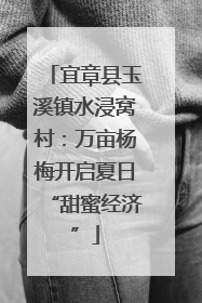 宜章县玉溪镇水浸窝村：万亩杨梅开启夏日“甜蜜经济”