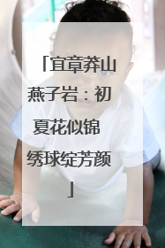 宜章莽山燕子岩：初夏花似锦 绣球绽芳颜