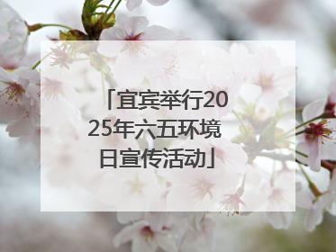 宜宾举行2025年六五环境日宣传活动