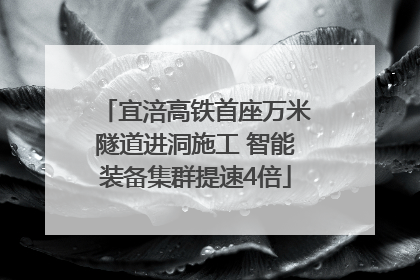 宜涪高铁首座万米隧道进洞施工 智能装备集群提速4倍