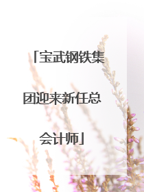 宝武钢铁集团迎来新任总会计师