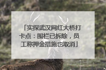 实探武汉网红大桥打卡点：围栏已拆除，员工称押金措施也取消