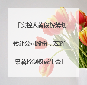 实控人黄俊辉筹划转让公司股份，宏辉果蔬控制权或生变