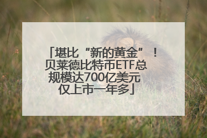 堪比“新的黄金”！贝莱德比特币ETF总规模达700亿美元 仅上市一年多