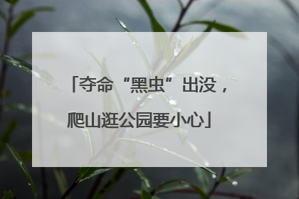 夺命“黑虫”出没，爬山逛公园要小心