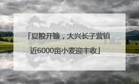 夏粮开镰，大兴长子营镇近6000亩小麦迎丰收