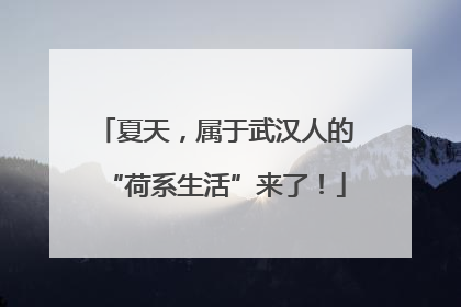 夏天，属于武汉人的“荷系生活”来了！
