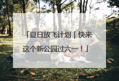 夏日放飞计划｜快来这个新公园过六一！