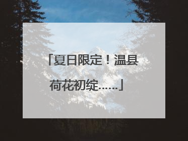 夏日限定！温县荷花初绽……