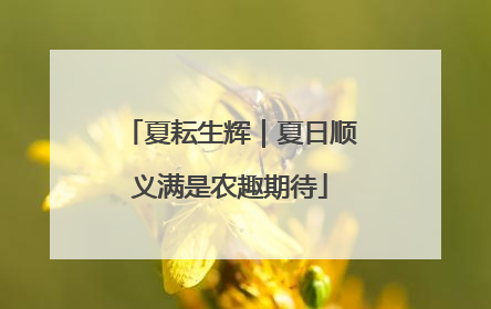 夏耘生辉｜夏日顺义满是农趣期待
